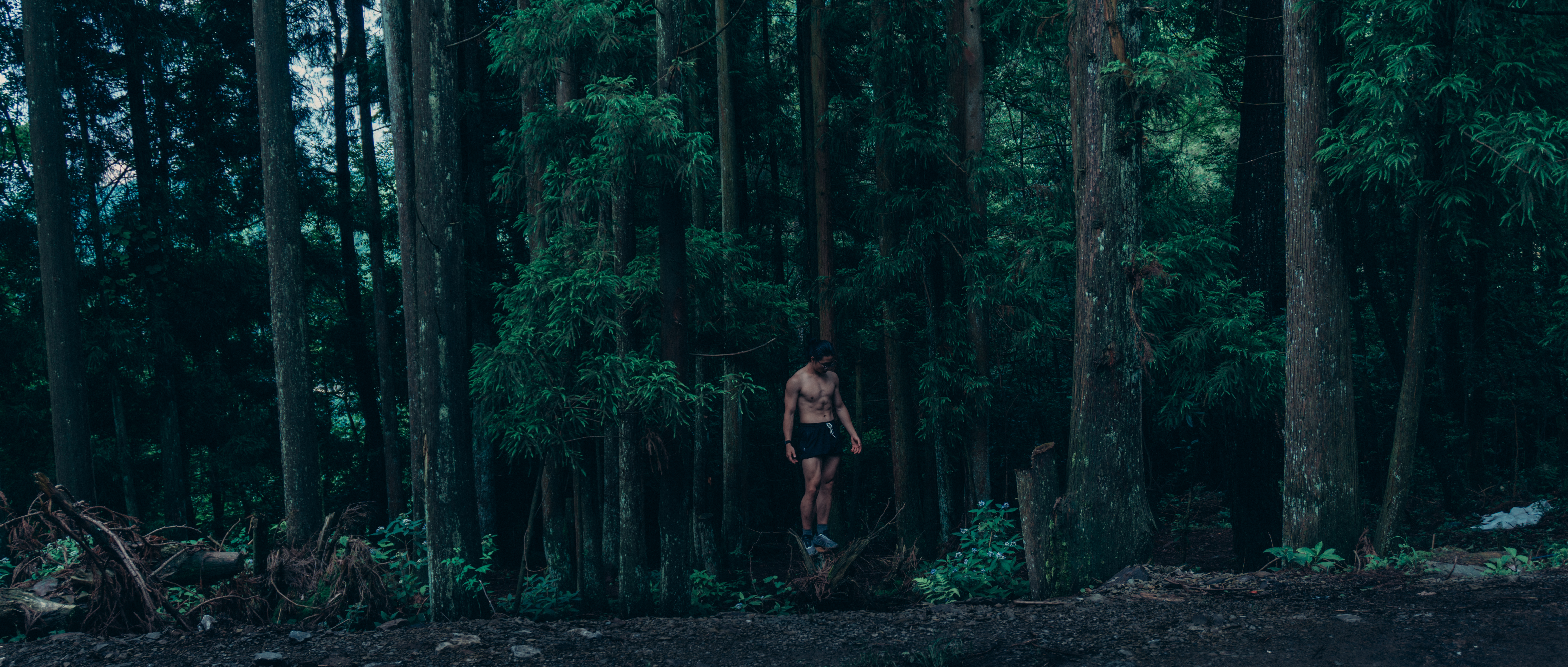 A cinematic forest scene from SLOW